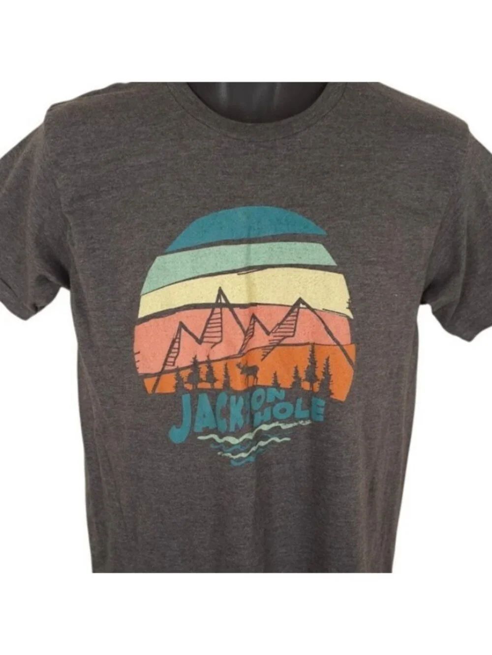 Jackson Hole T Shirt Mens Size Medium Gray Wyoming Moose Travel Destination Tee